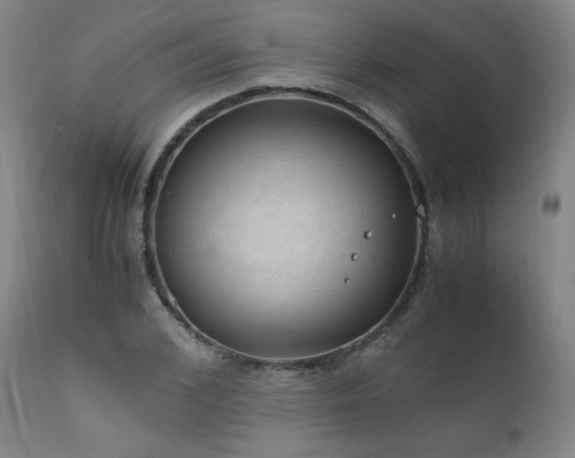 X0000111810976200907231230