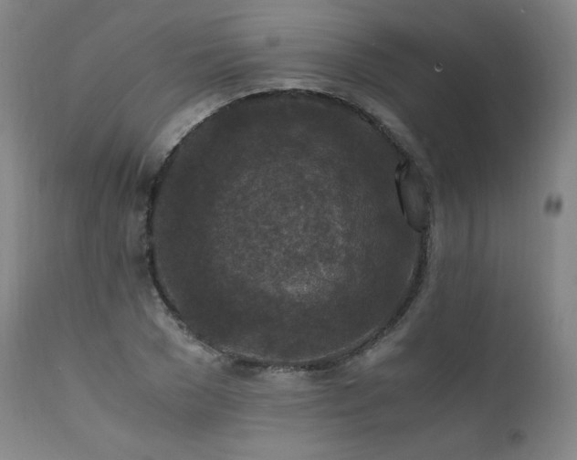 X0000111810977200907231230