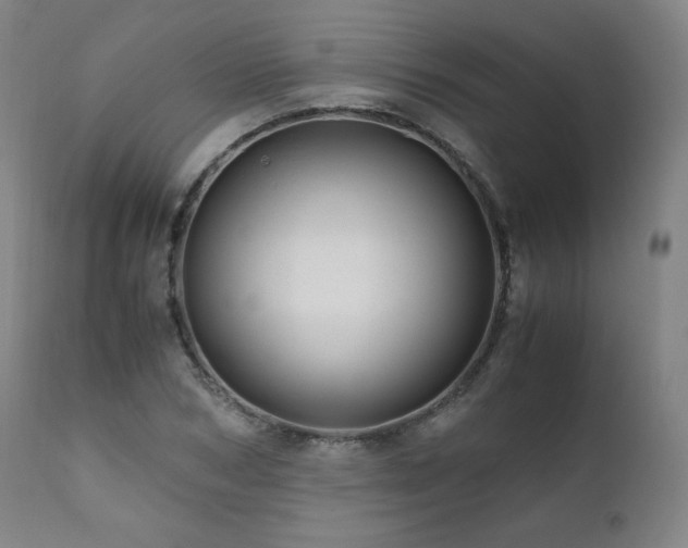 X0000111810978200907231230