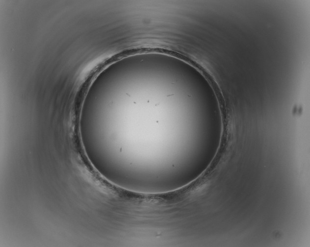 X0000111810979200907231230