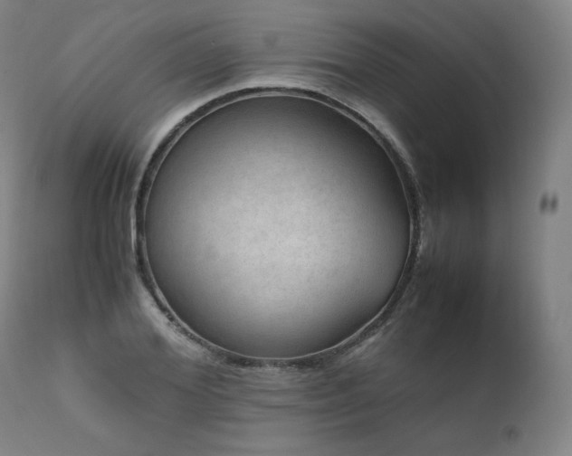X0000111810980200907231230