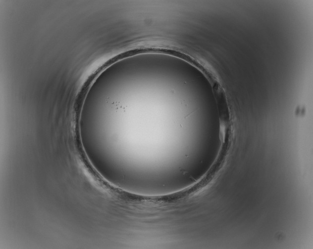 X0000111810981200907231230