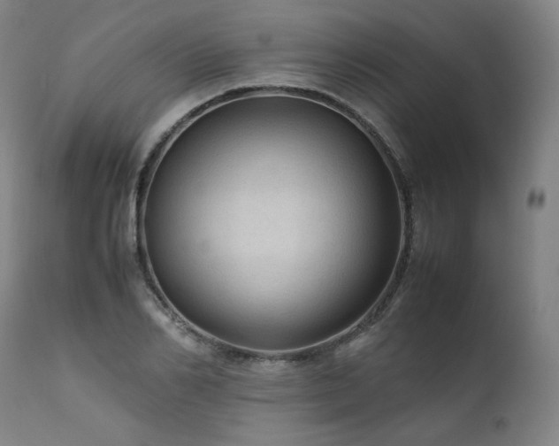 X0000111810982200907231230