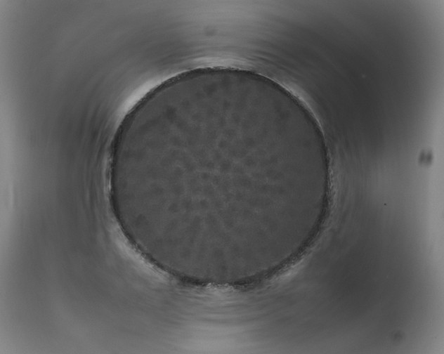 X0000111810983200907231230