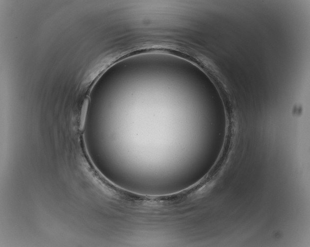 X0000111810985200907231230