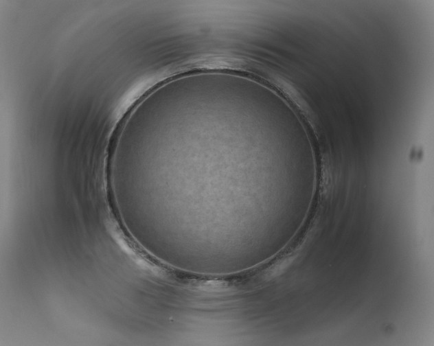 X0000111810986200907231230