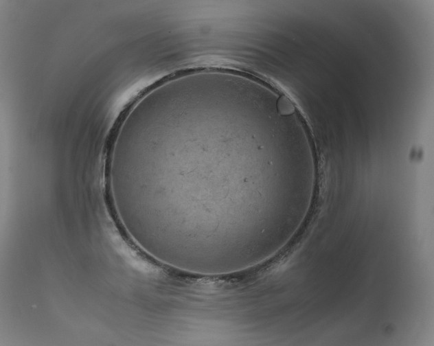 X0000111810987200907231230