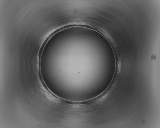 X0000111810988200907231230
