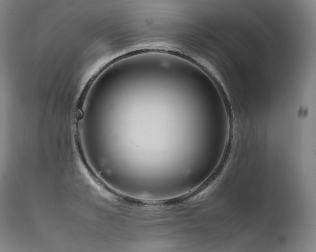 X0000111810989200907231230