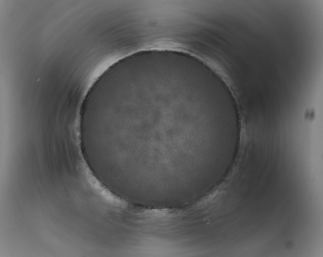 X0000111810990200907231230