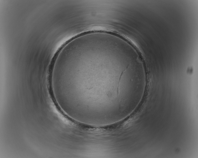 X0000111810991200907231230