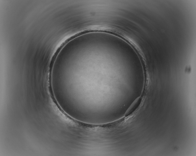 X0000111810992200907231230