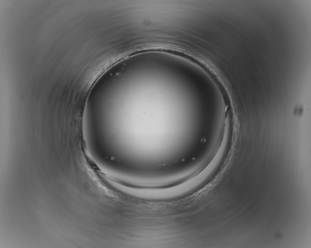 X0000111810993200907231230
