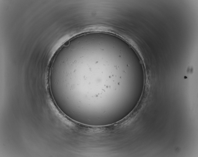 X0000111810997200907231230