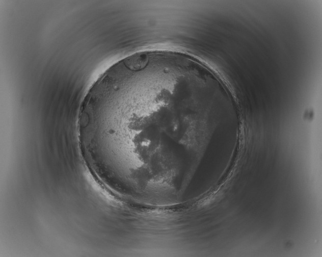 X0000111810998200907231230