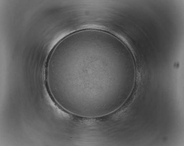 X0000111810999200907231230