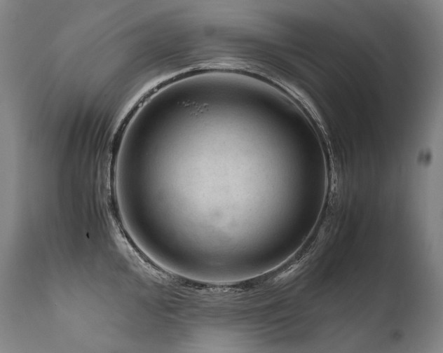 X0000111811000200907231230