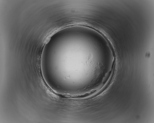 X0000111811001200907231230
