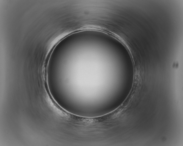X0000111811003200907231230