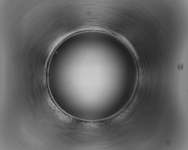 X0000111811004200907231230