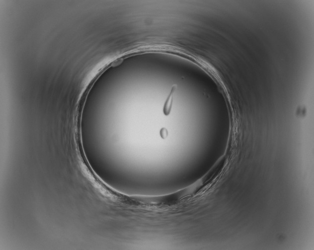 X0000111811005200907231230