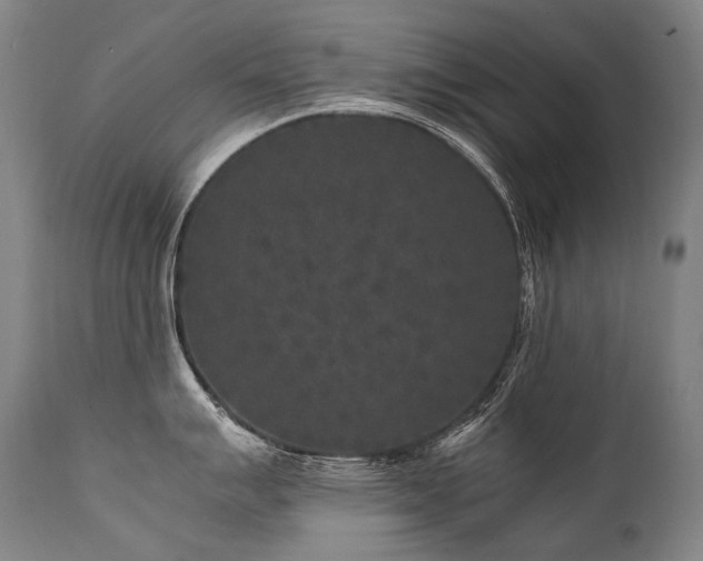 X0000111811007200907231230