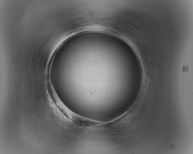 X0000111811008200907231230