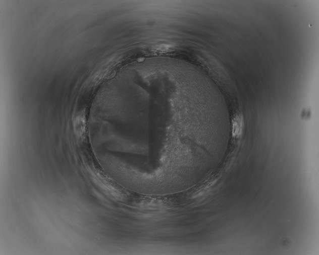 X0000111811011200907231229