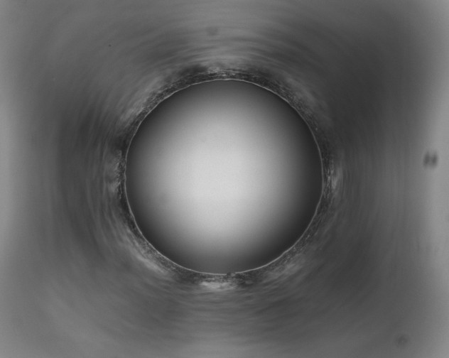 X0000111811012200907231229