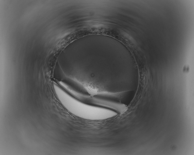 X0000111811013200907231229