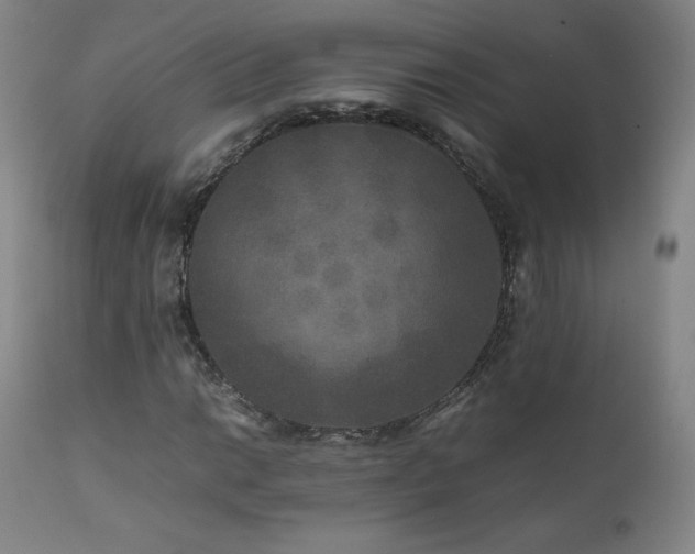 X0000111811014200907231229