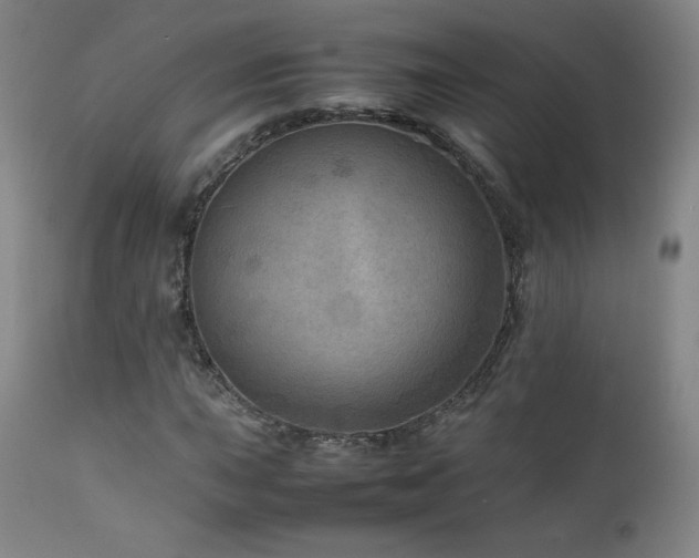 X0000111811015200907231229