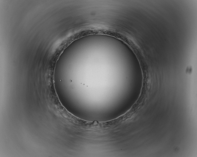 X0000111811016200907231229