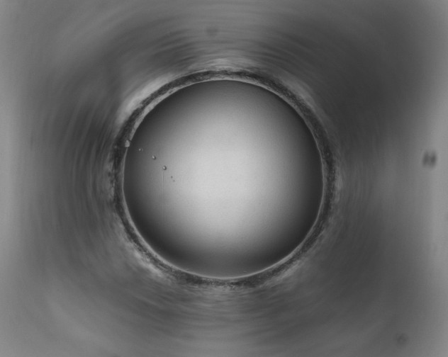 X0000111811018200907231229