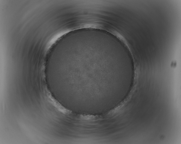 X0000111811019200907231229