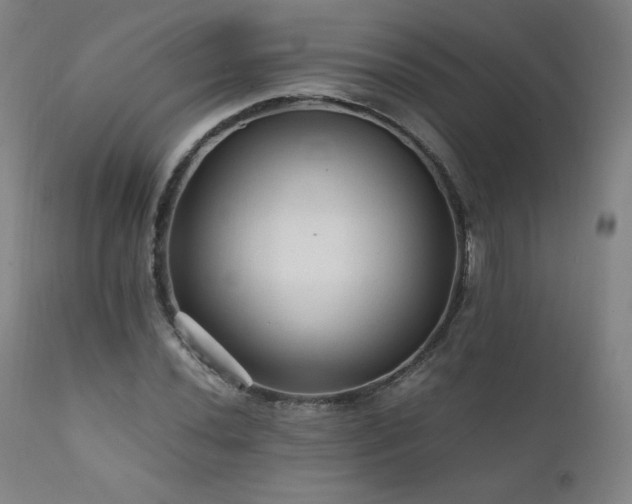 X0000111811020200907231229