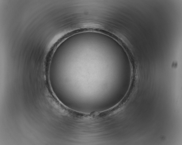 X0000111811022200907231229