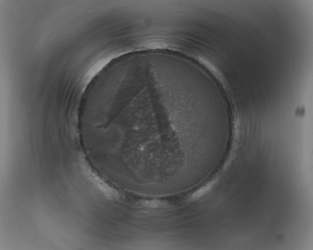 X0000111811023200907231229