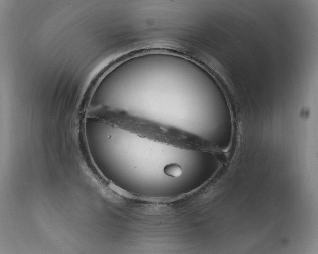 X0000111811024200907231229