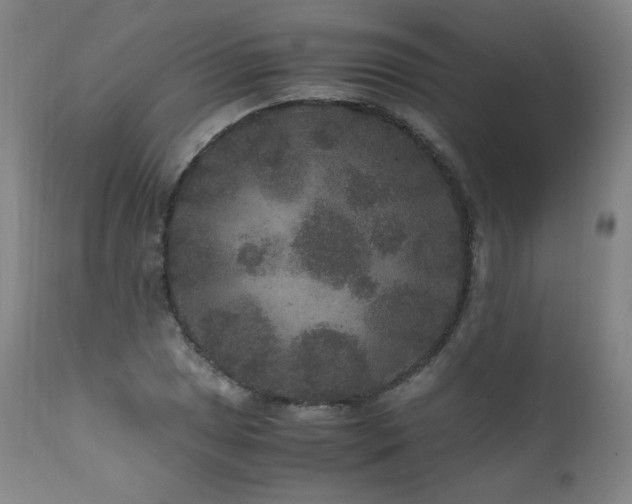 X0000111811025200907231229