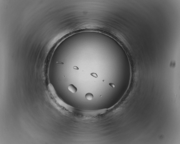X0000111811026200907231229