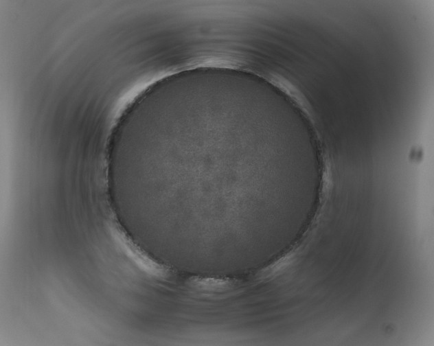 X0000111811027200907231229