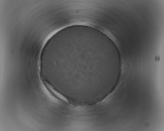X0000111811028200907231229