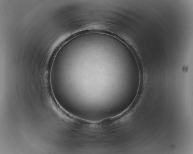 X0000111811029200907231229