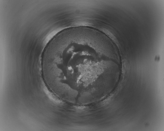 X0000111811031200907231229