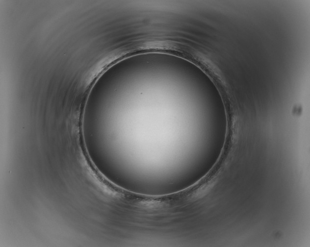 X0000111811033200907231229