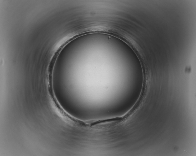 X0000111811034200907231229