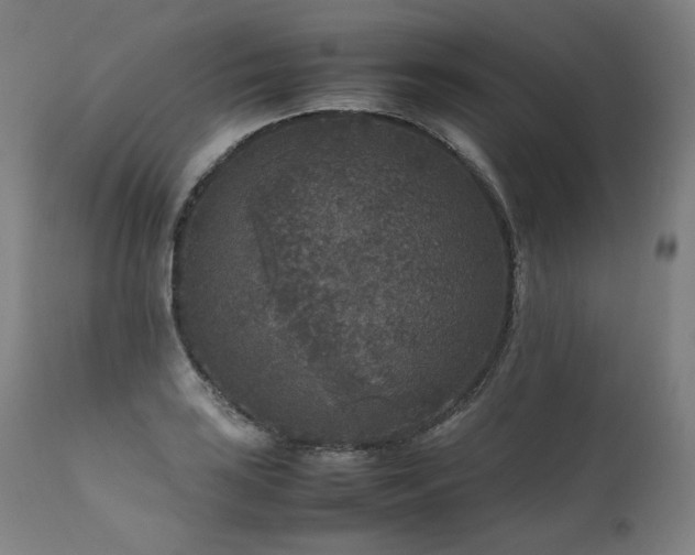 X0000111811035200907231229
