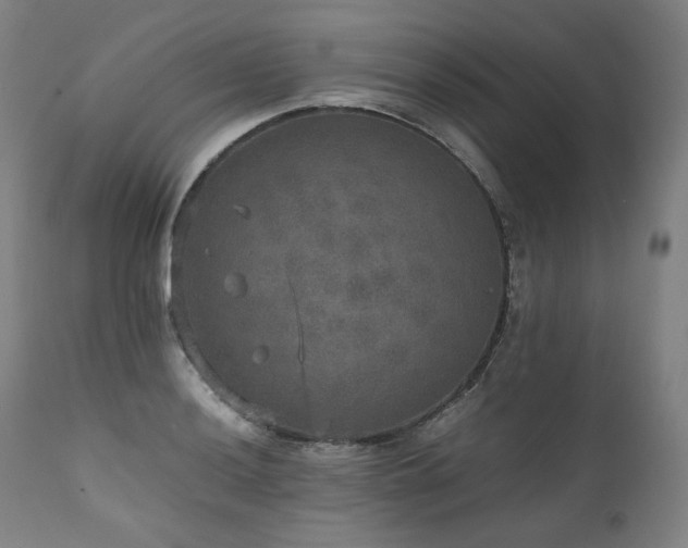 X0000111811036200907231229