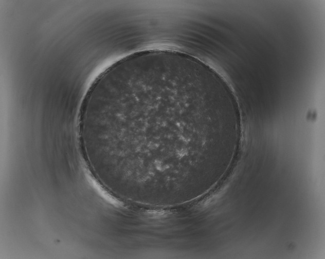 X0000111811037200907231229